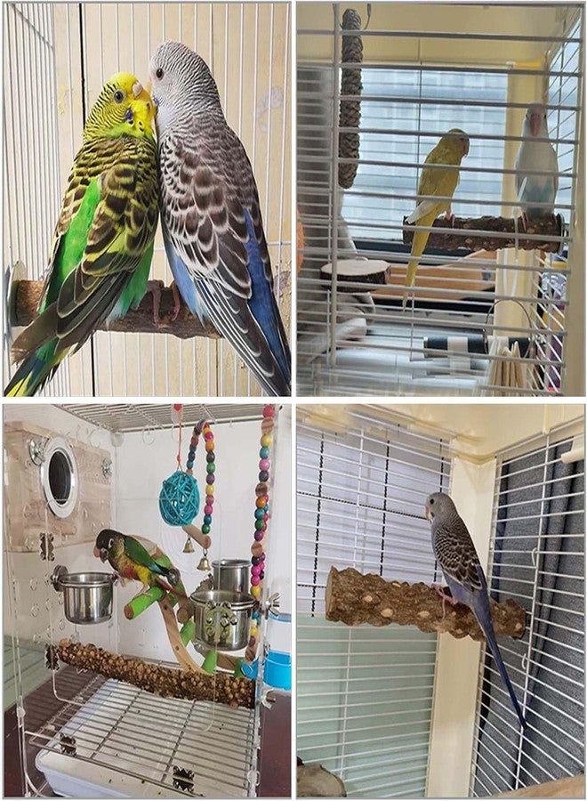 Allazone 4 PCS Natural Parrot Perch Wooden Parrot Perch Stand Bird Stand Parakeet Climbing Standing Branches Toy for Small Lovebirds Budgies Cockatiels - Image 5